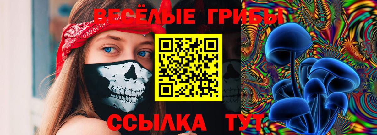 Псилоцибиновые грибы мухоморы  Вход с VPN  Черняховск 